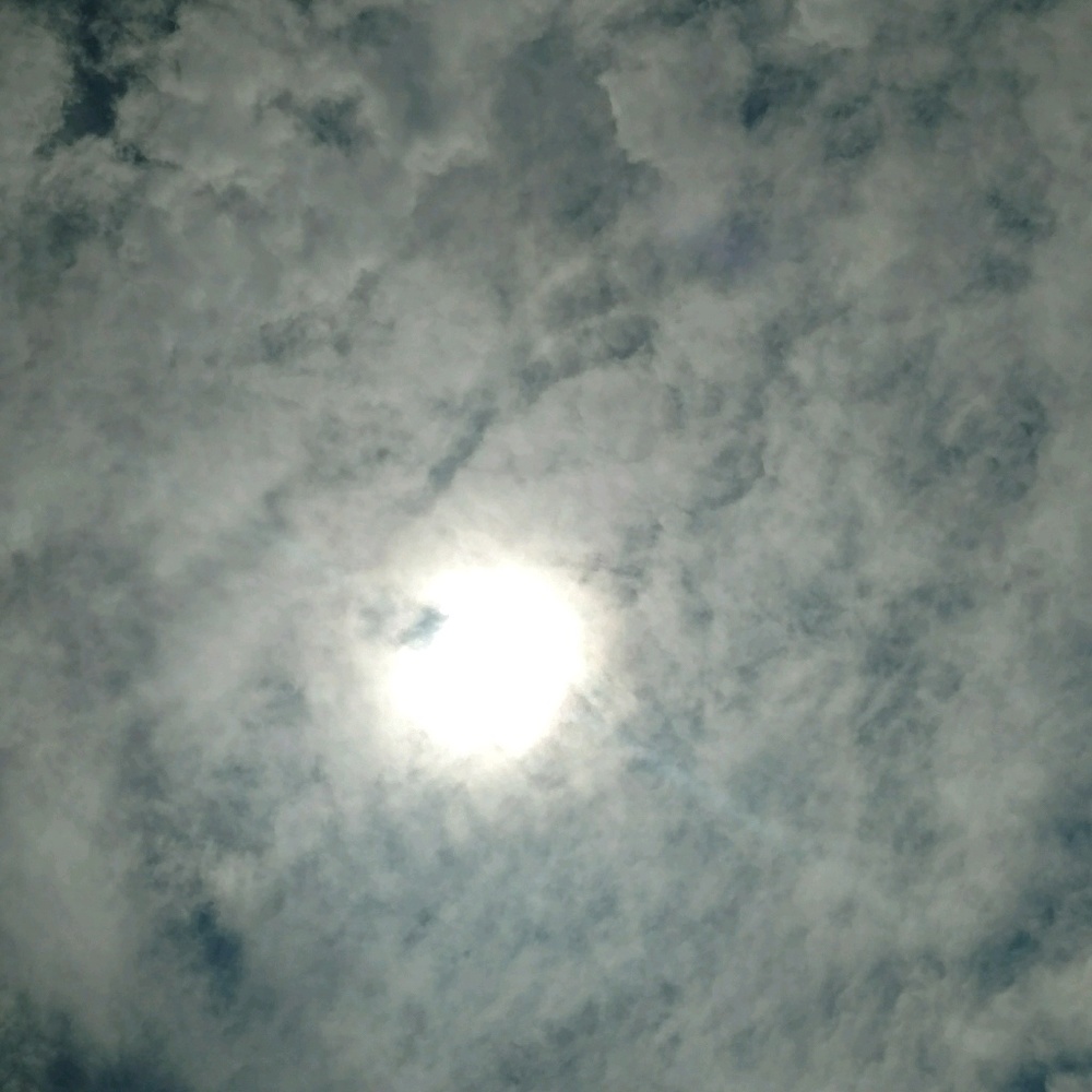 Meet your Posher, Kerri